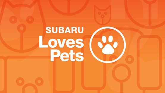 Competition Subaru of Smithtown in St James NY