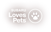 Subaru Loves Pets